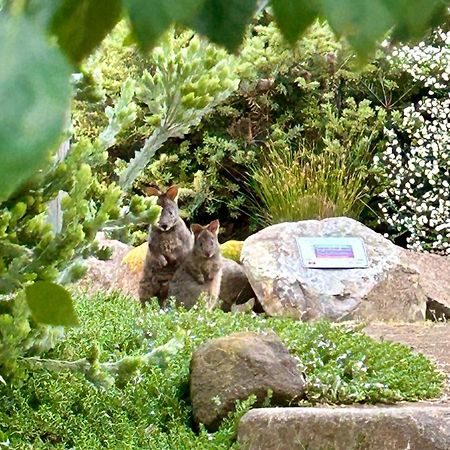 Hobart Hideaway Pods Bed & Breakfast คิงส์ตัน ภายนอก รูปภาพ