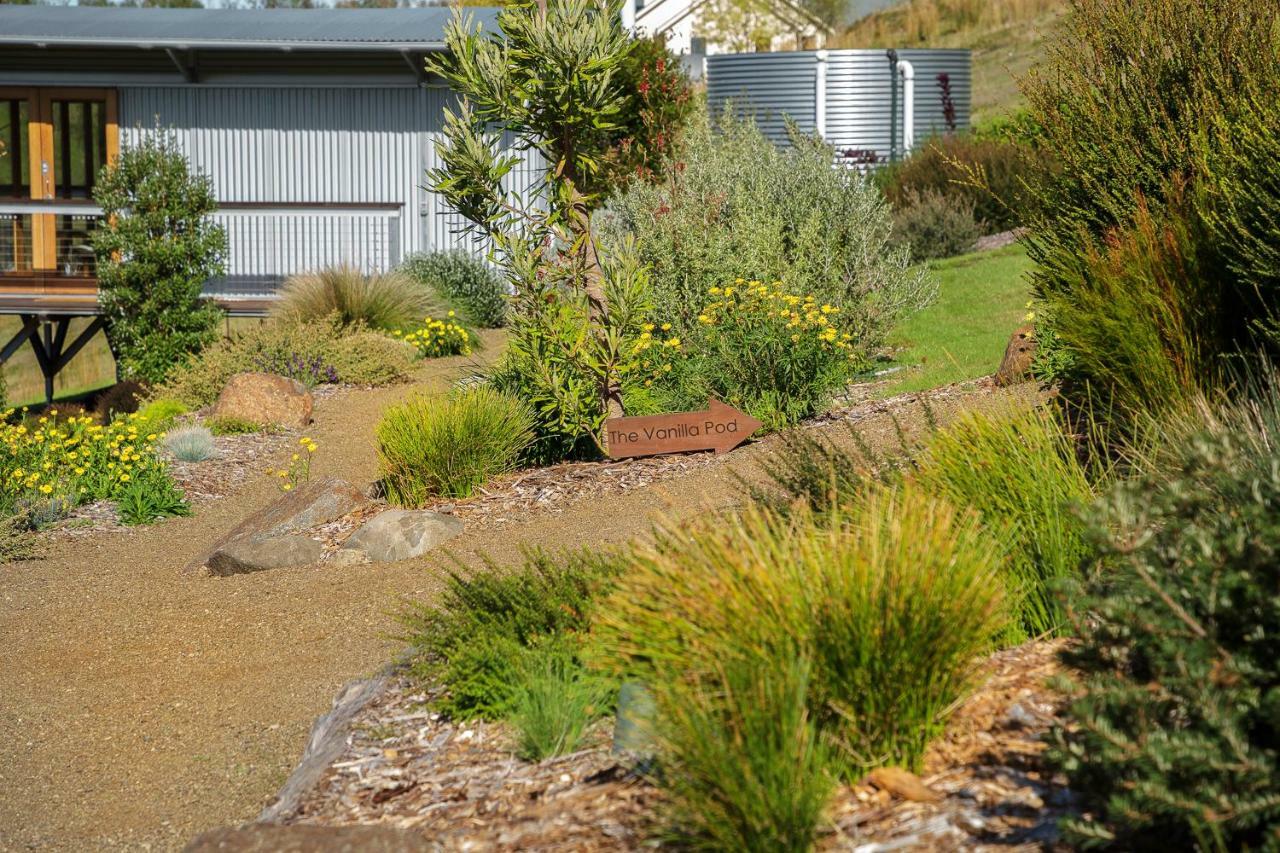 Hobart Hideaway Pods Bed & Breakfast คิงส์ตัน ภายนอก รูปภาพ